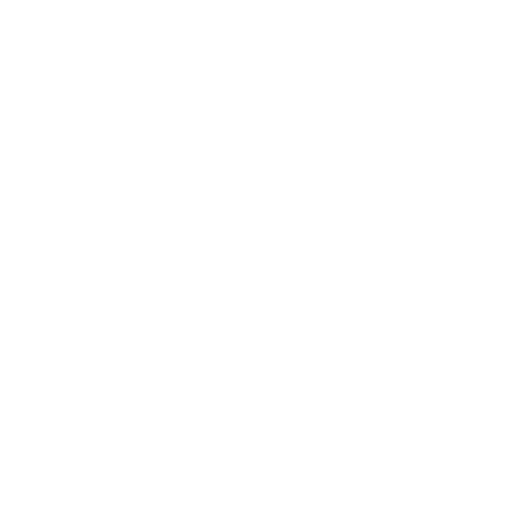 Pizza Punk Freelance Webdesign Generative design Lyon France 